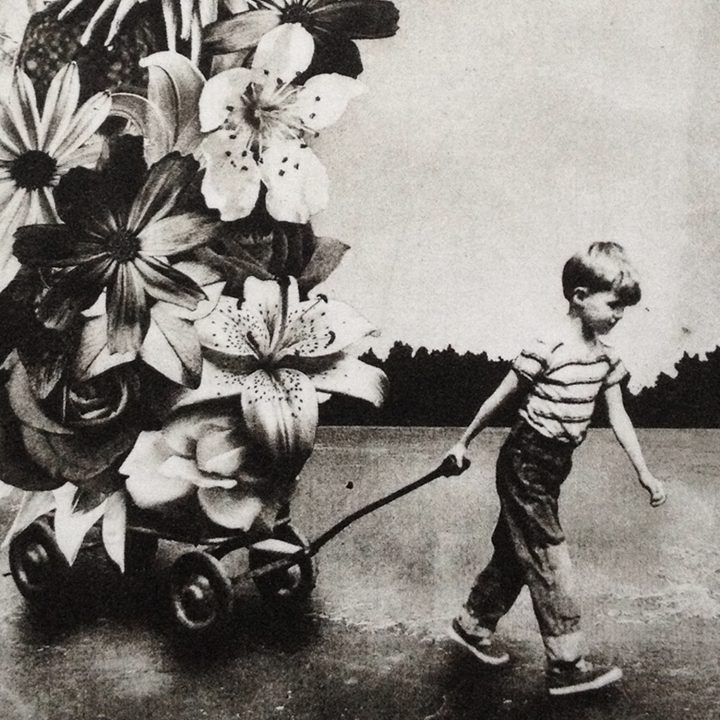 The Boy and The Flowers – Image 2