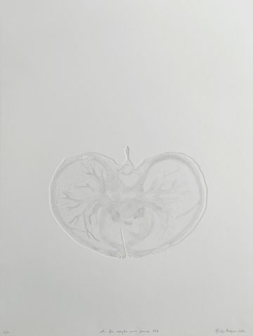 Du fer oxyde une source XVII