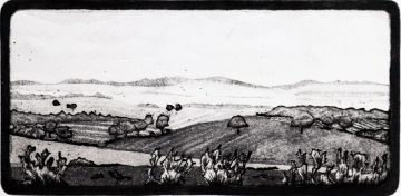 Paysage vu du train, région de Castilla e Leon en Espagne