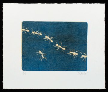 Gravure sur bois "Fourmis II" de Sebastian Abbo