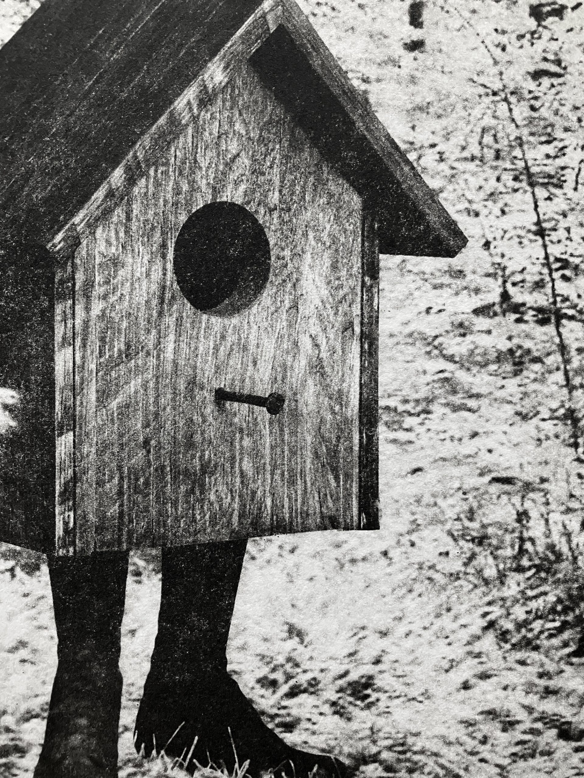 Birdbox II - Image 4