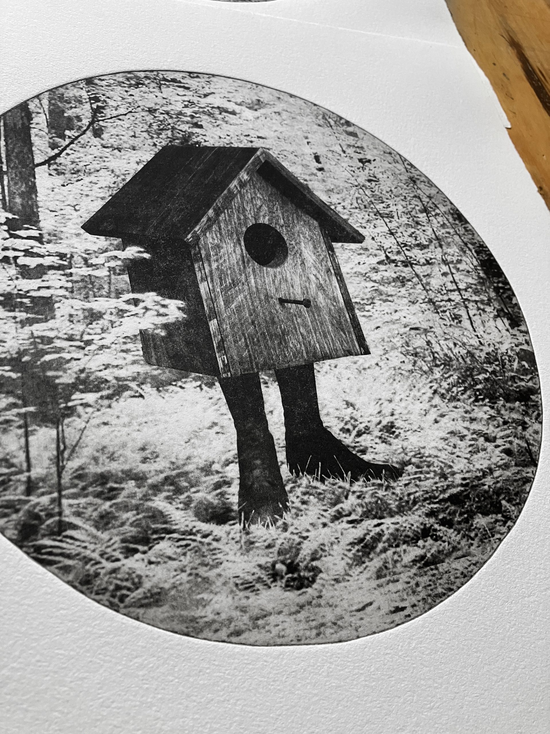 Birdbox II - Image 2