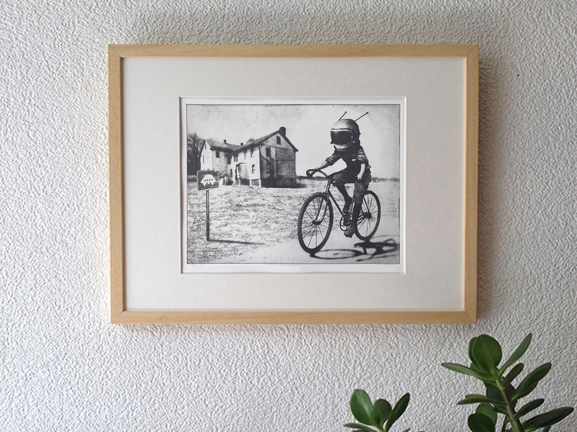 Terranaut II – Image 4