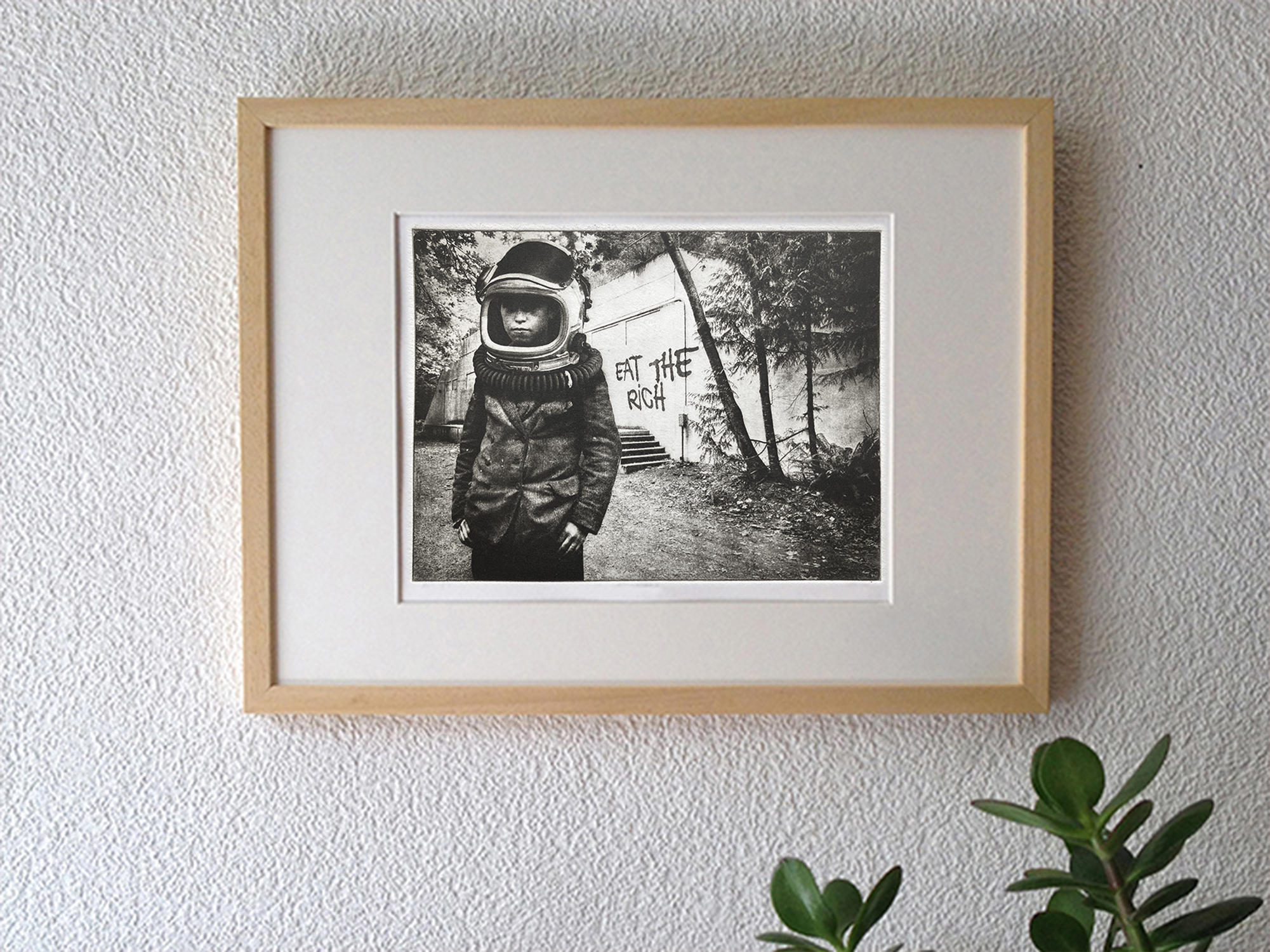 Terranaut V – Image 5