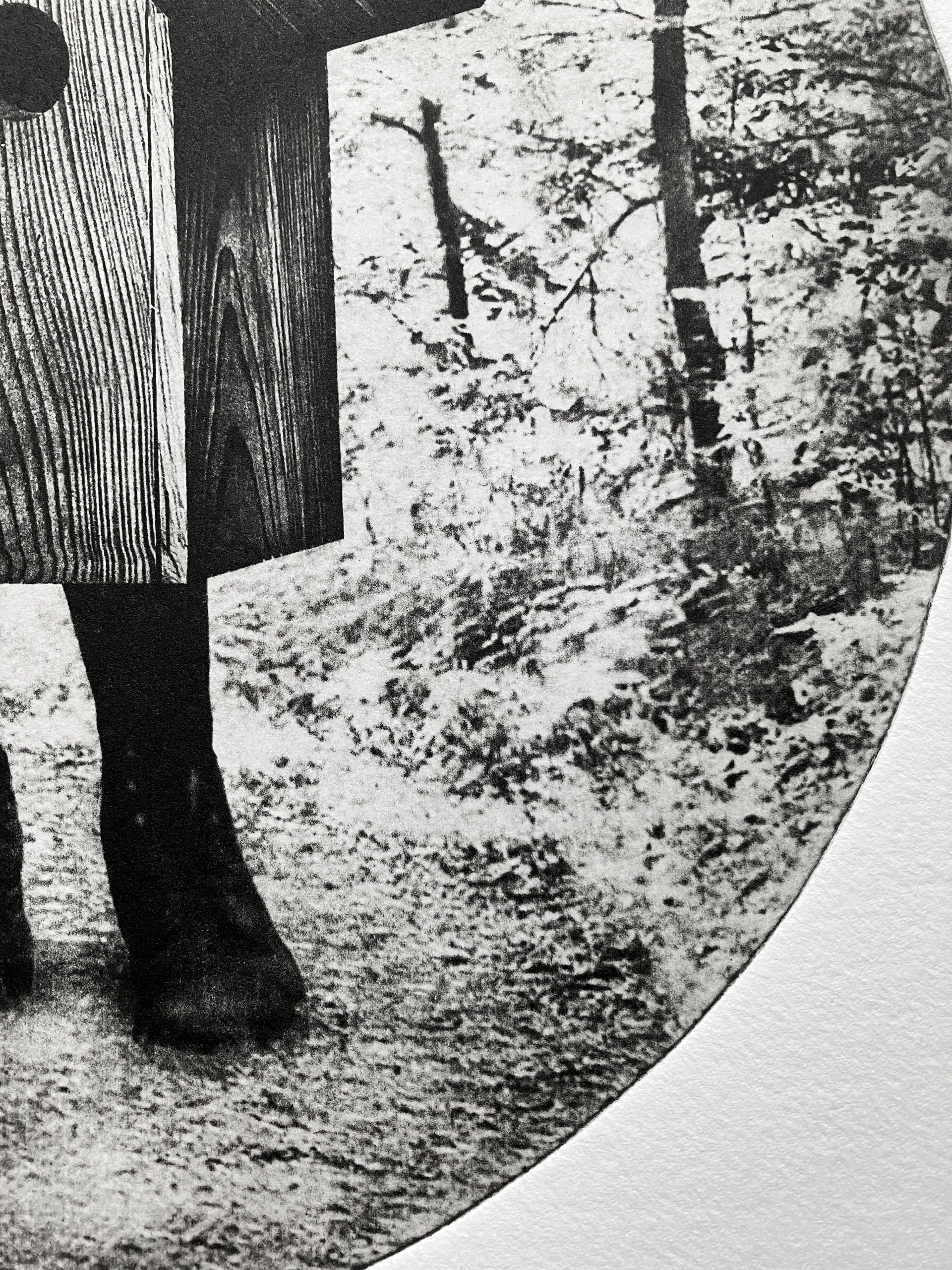 Birdbox I – Image 4