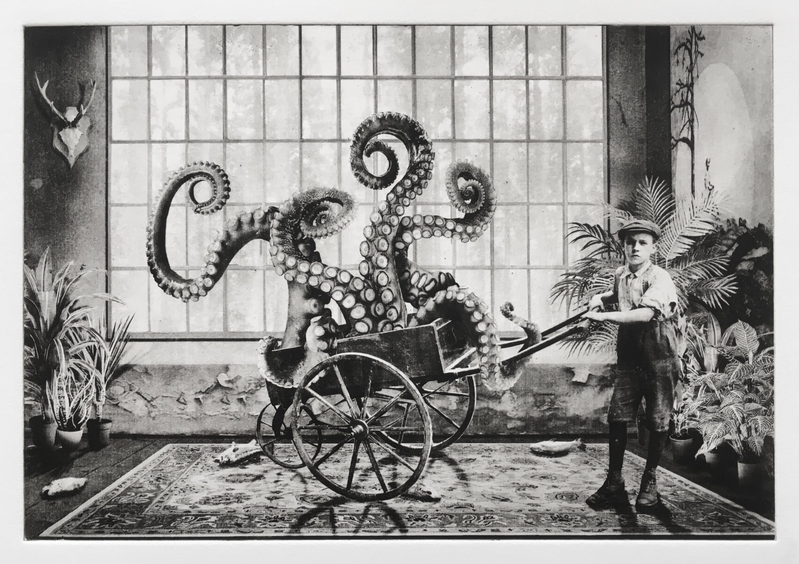 Interior No.46 – Image 4