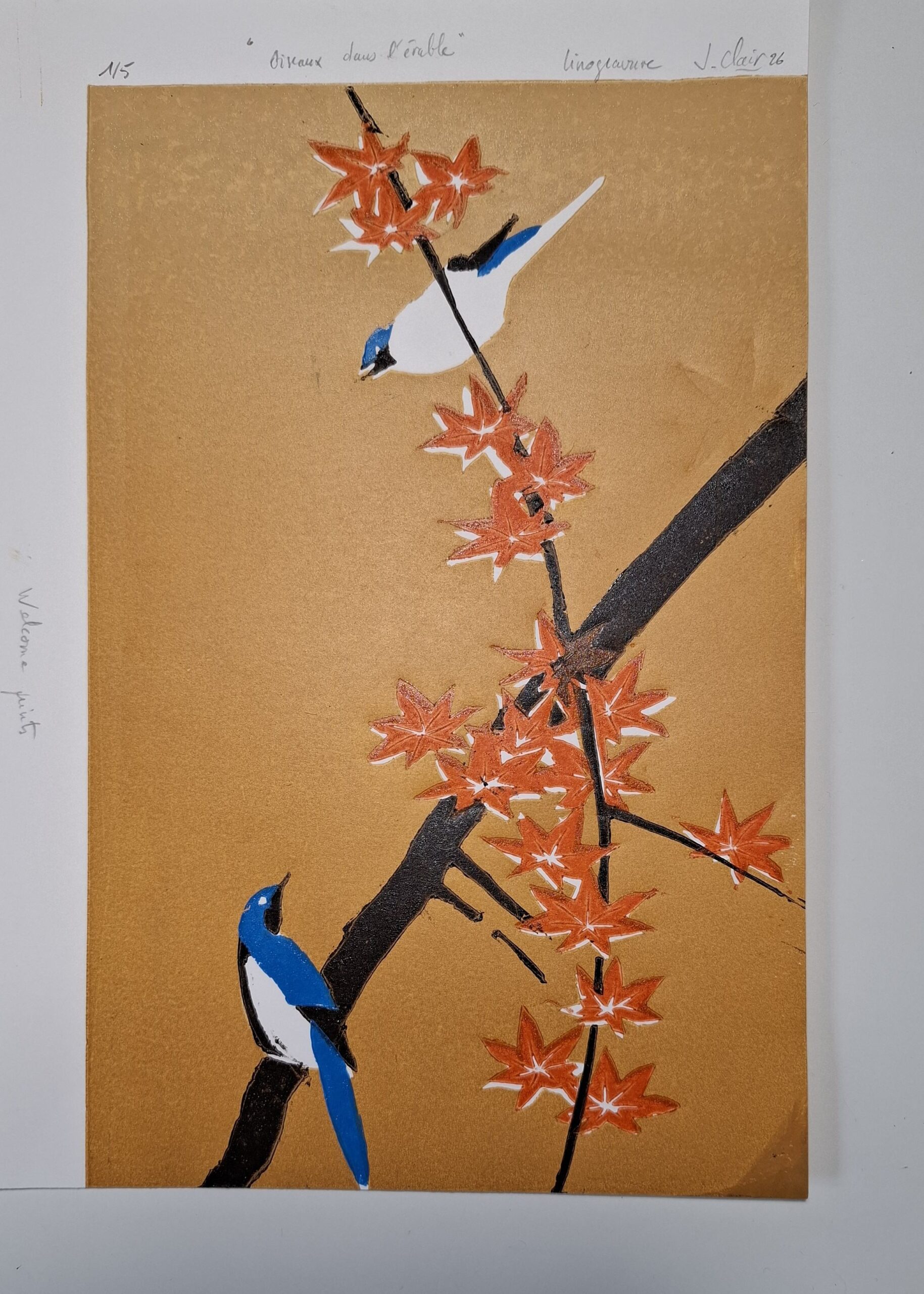 Oiseaux dans l'érable – Image 3