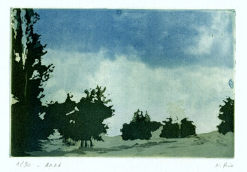 paysage avec un ciel prédominant