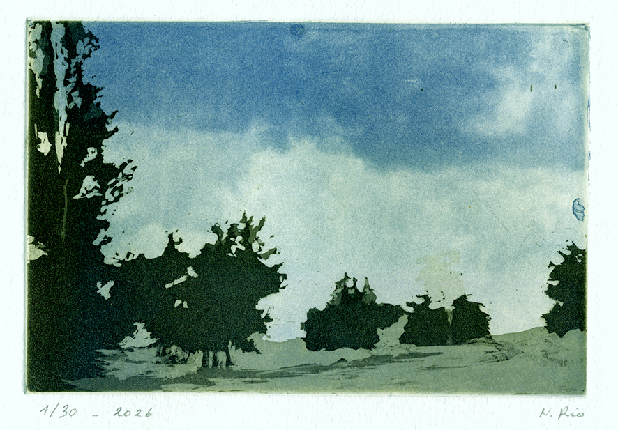 paysage avec un ciel prédominant