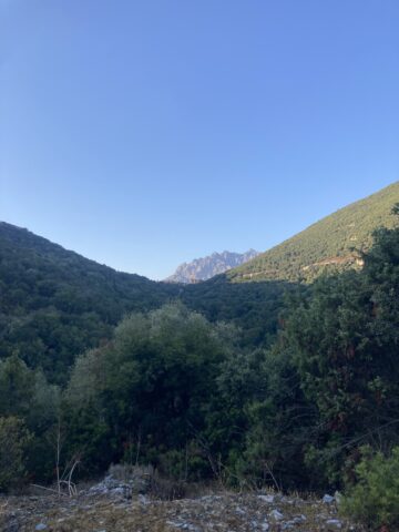 Test 4